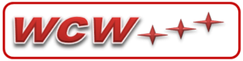 WORLDWIDE CONSULTING WORKS